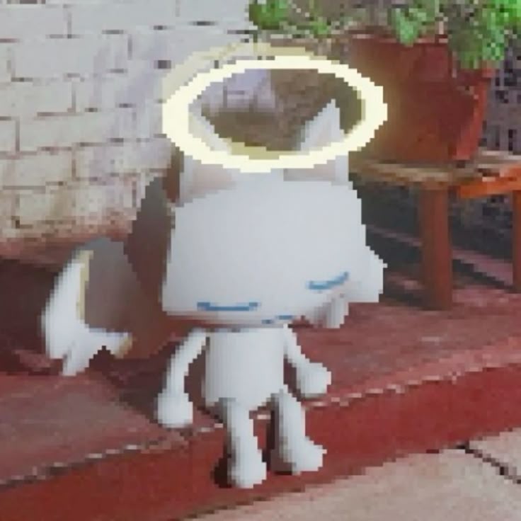 Angel cat